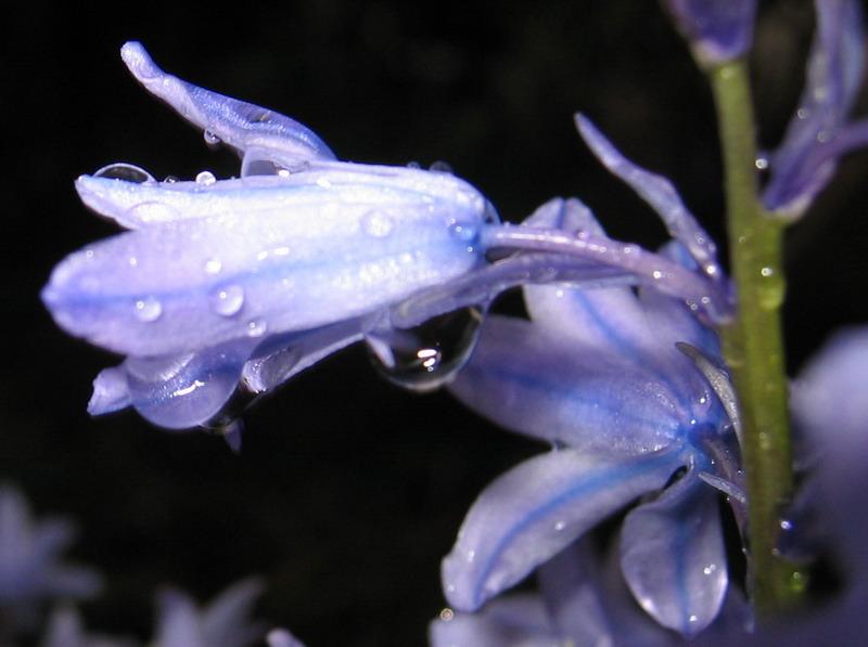 apres la pluie